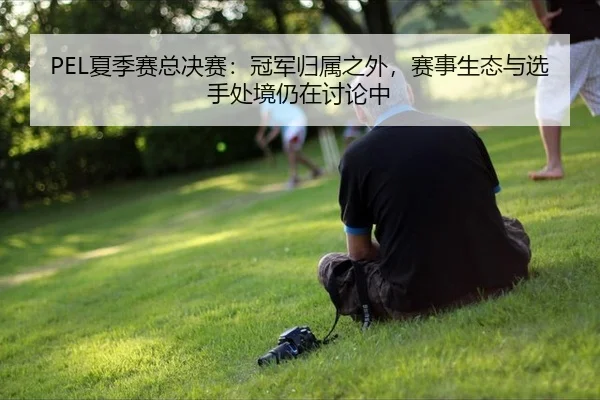 PEL夏季赛总决赛：冠军归属之外，赛事生态与选手处境仍在讨论中